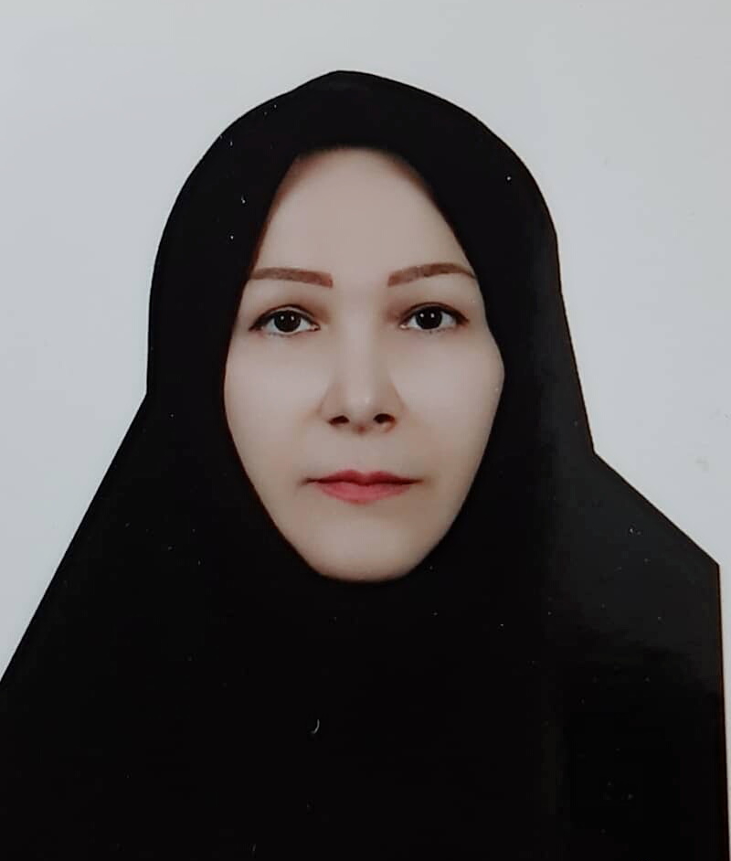 بهترین وکیل پایه یک دادگستری مهین حبیبی نیا در تالش گیلان